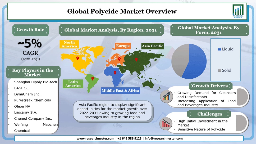 Polycide Market Overview